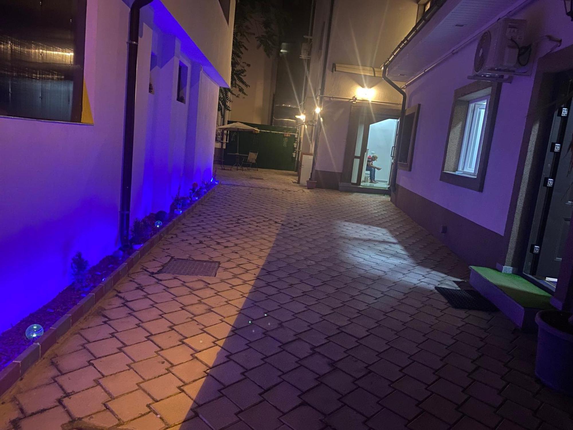 بيت شباب Cazan House بوخارست المظهر الخارجي الصورة